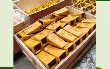 Kuku Bucket Terbaik 2026: Jangan Beli Sebelum Lihat ini!